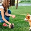 Dino Egg-Shaped Slow Feeder Dog Toy - Interactive Treat Dispenser Tough Chew Toys for Dogs Color Black