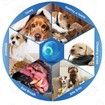 Vibrating Dog Ball,Moving Dog Ball,Shaky Ball Toy for Dogs,Interactive Bouncing Ball,Automatic Moving Dog Toy Ball,Shaking Dog Ball (2pc)