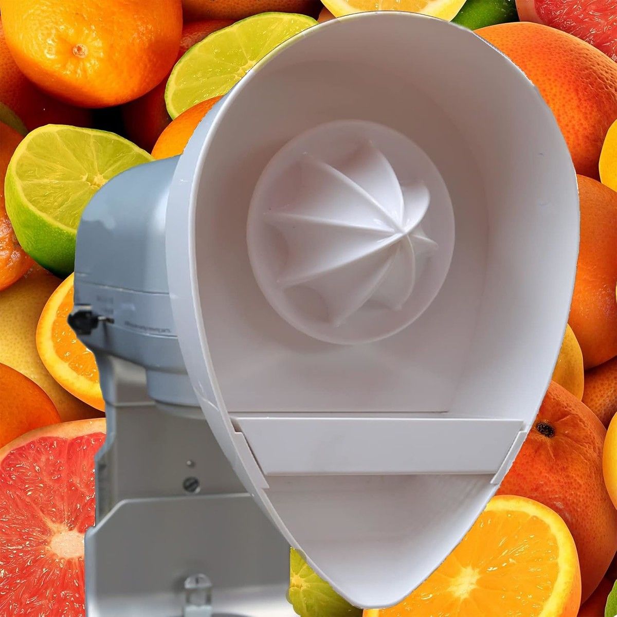 https://img.bestdeals.co.nz/products_pictures/869/86939_840794_F.jpg
