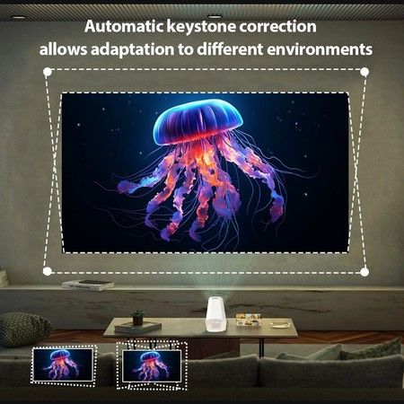 https://img.bestdeals.co.nz/products_pictures/869/86951_840996_F.jpg