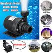 50W DC12V Solar Panel Water Pump Kit with Time Controller Submersible Motor Garden Fountain Decor Pump for Bird Bath