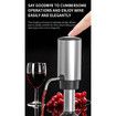 Electric Wine Decanter Automatic Wine Aerator,One Touch Wine Dispenser with USB TYPE-C Rechargeable (Stainless Steel)