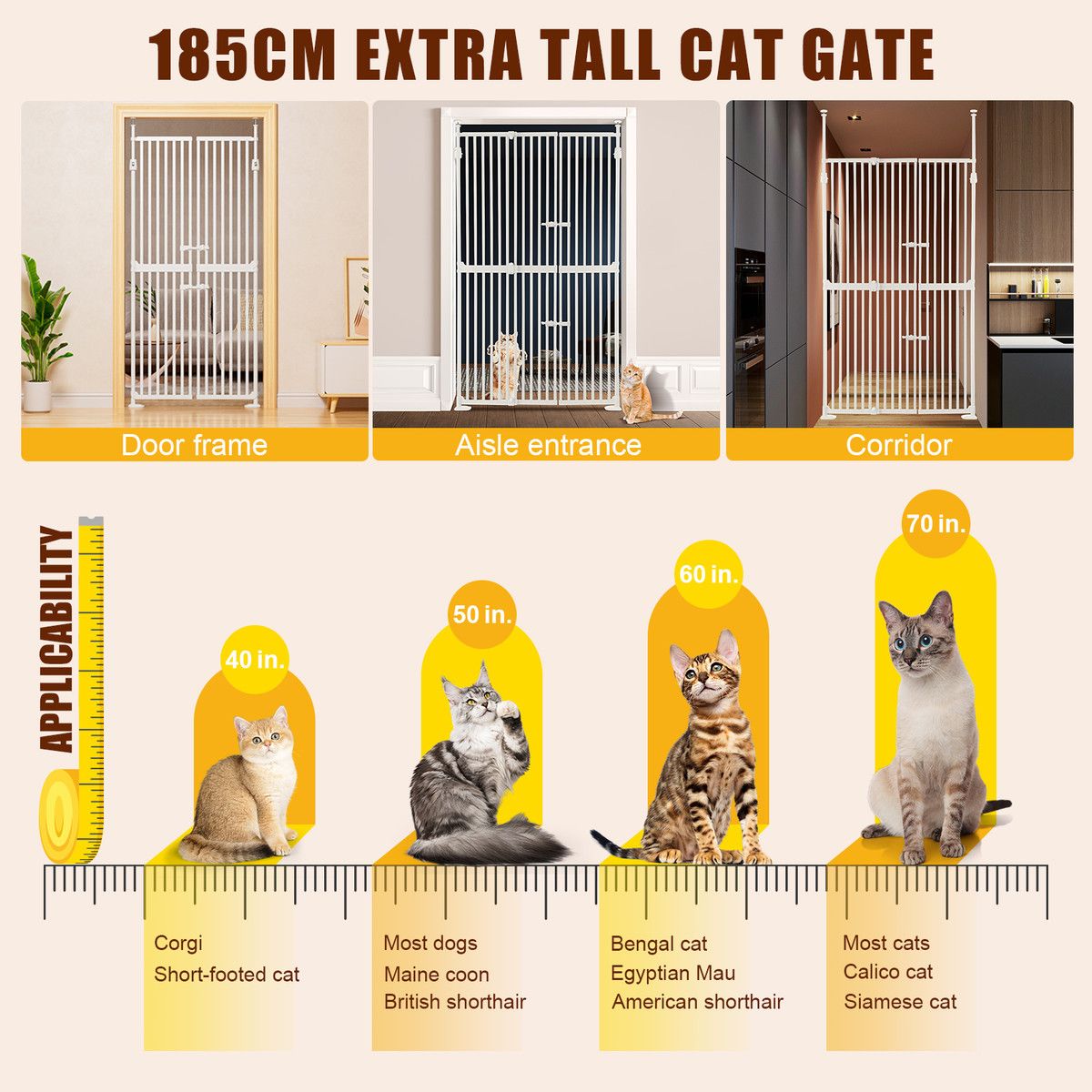 https://img.bestdeals.co.nz/products_pictures/872/87258_844611_F.jpg
