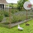 Hardware Cloth Wire Mesh Galvanised Welded Fence Chicken Coop Netting Rabbit Cage Guard Barrier Enclosure Snake Vermin Rat Proof Fencing 30mx1.2m