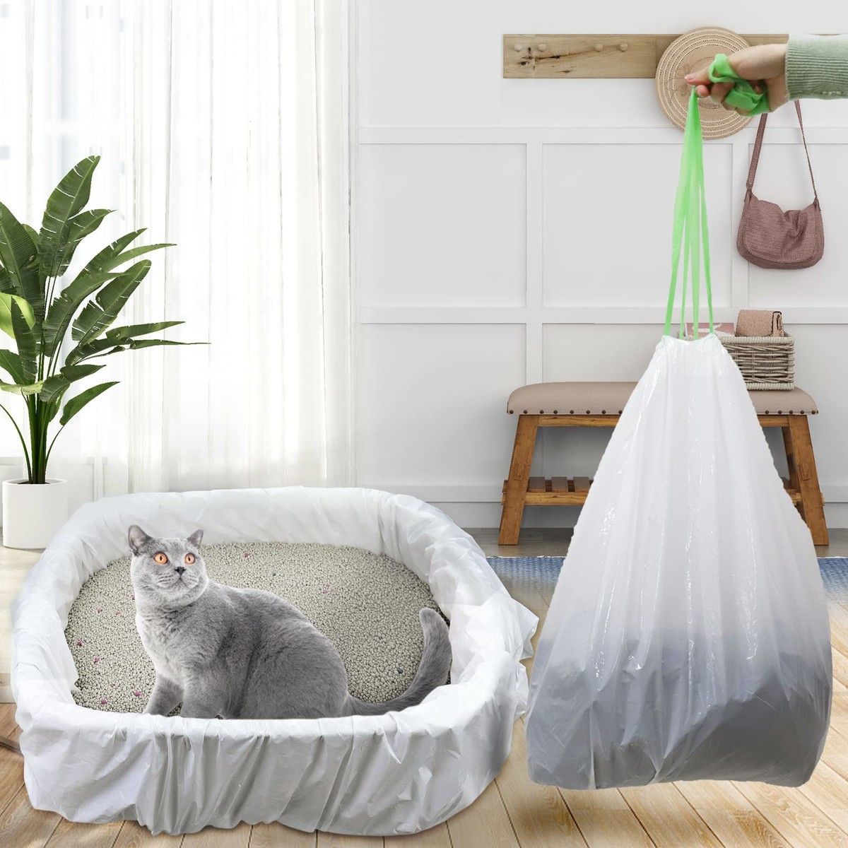 https://img.bestdeals.co.nz/products_pictures/873/87354_845787_F.jpg