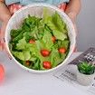 Electric Salad Spinner Lettuce Dryer 6L Capacity Bowl Colander Family Meals Parties Squeeze Bottle Draining System