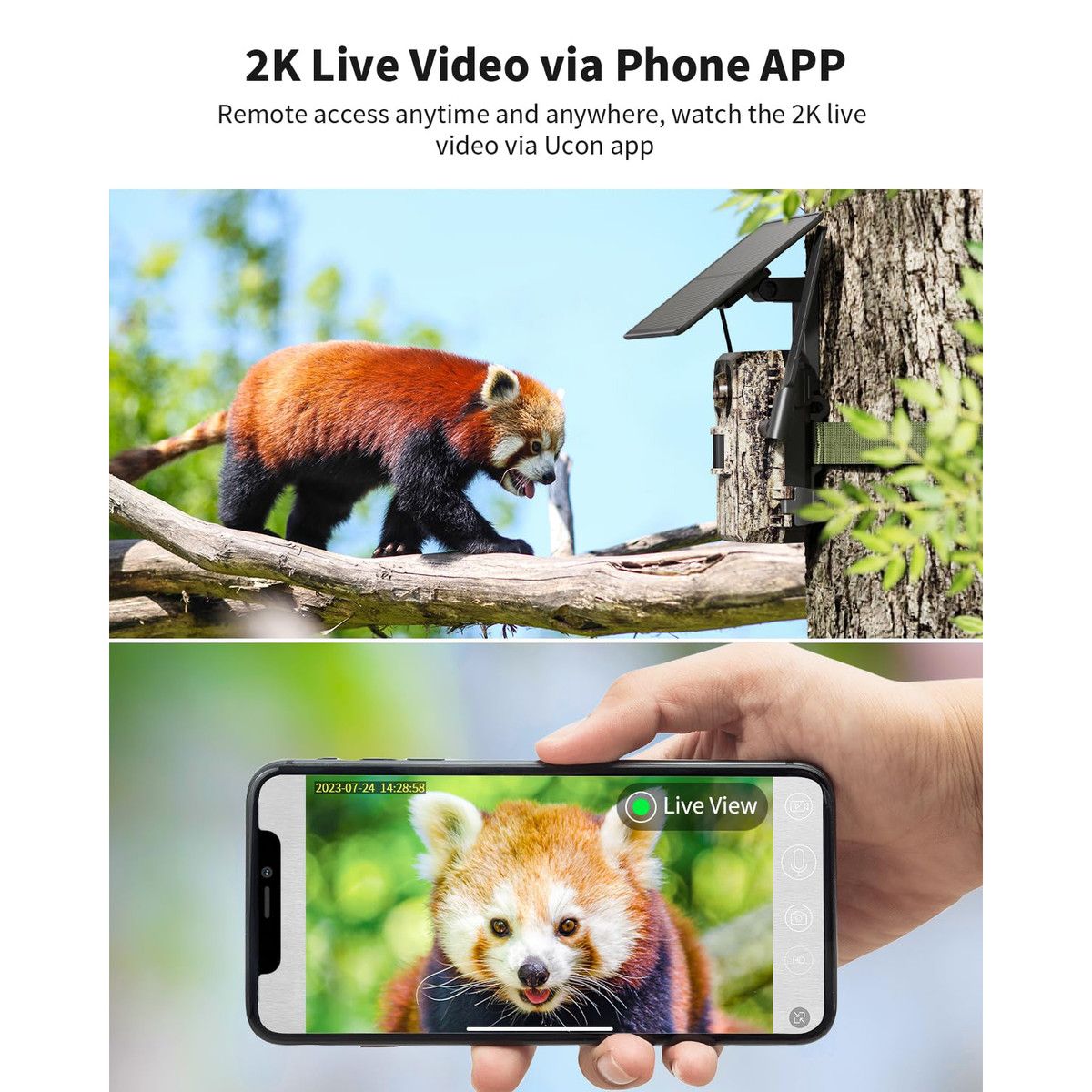 https://img.bestdeals.co.nz/products_pictures/874/87405_846345_F.jpg