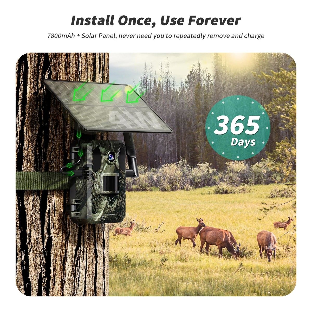 https://img.bestdeals.co.nz/products_pictures/874/87418_846500_F.jpg