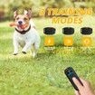 Dog Training Collar with 500M Remote,with Beep,Vibration,Shock Modes,Rechargeable Dog Collar for Small Medium Large Dog Color Orange