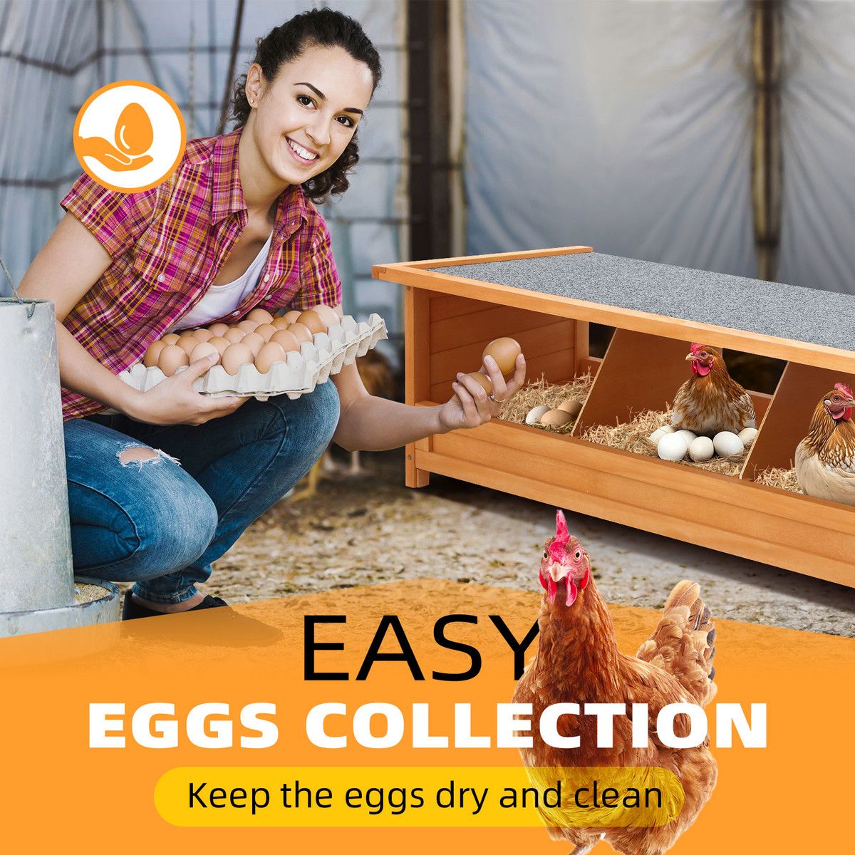 https://img.bestdeals.co.nz/products_pictures/875/87515_847675_F.jpg