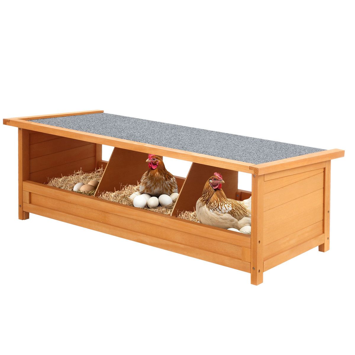 https://img.bestdeals.co.nz/products_pictures/875/87515_847680_F.jpg
