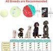 Dog Ball for Aggressive Chewers, Interactive Dog Toy Balls Fun Squeaky Sound to Keep Them Busy, Durable for Small Medium Large Breeds