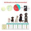 Dog Ball for Aggressive Chewers, Interactive Dog Toy Balls Fun Squeaky Sound to Keep Them Busy, Durable for Small Medium Large Breeds