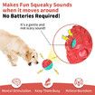 Dog Ball for Aggressive Chewers, Interactive Dog Toy Balls Fun Squeaky Sound to Keep Them Busy, Durable for Small Medium Large Breeds