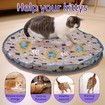 Interactive Cat Toys Ball Fast Rolling in Pouch, Motion Activate Chirping Cat Toy Hide and Seek Mouse Catching Game