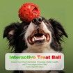 Treat Dispensing Dog Toys, Dog Treat Toy, Puppy Puzzle Toys, Interactive Dog Toys, Dog Treat Ball, Promotes Slow Eating