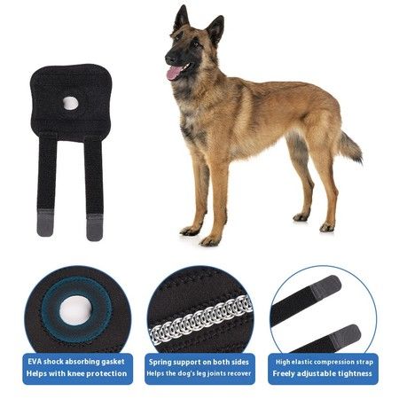 https://img.bestdeals.co.nz/products_pictures/876/87657_849434_F.jpg