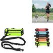 Running Waist Bag with Reflective Dog Walking Leash for Night Jogging with Leash for Outdoor Activities, Blue