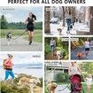 Running Waist Bag with Reflective Dog Walking Leash for Night Jogging with Leash for Outdoor Activities, Blue