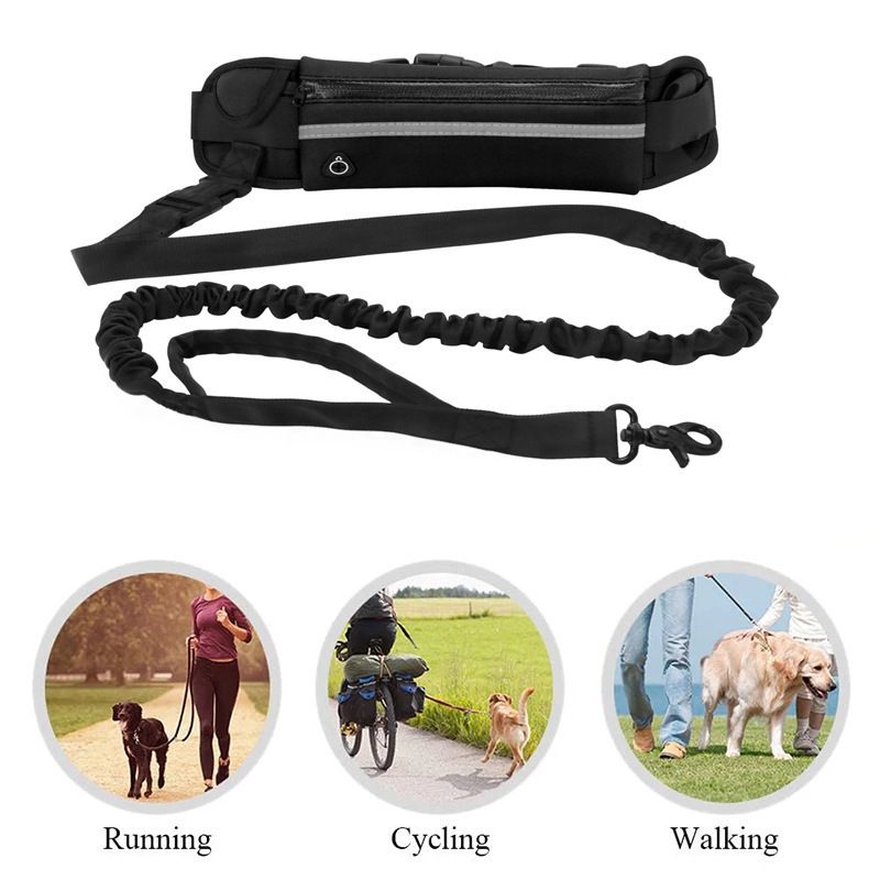 Running Waist Bag with Reflective Dog Walking Leash for Night Jogging with Leash for Outdoor Activities, Black