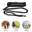 Running Waist Bag with Reflective Dog Walking Leash for Night Jogging with Leash for Outdoor Activities, Black