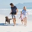 Running Waist Bag with Reflective Dog Walking Leash for Night Jogging with Leash for Outdoor Activities, Black