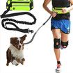 Running Waist Bag with Reflective Dog Walking Leash for Night Jogging with Leash for Outdoor Activities, Green
