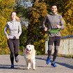 Running Waist Bag with Reflective Dog Walking Leash for Night Jogging with Leash for Outdoor Activities, Green
