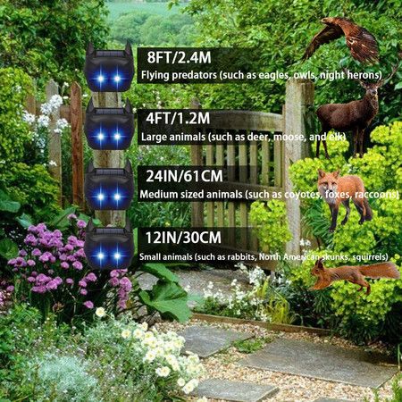 https://img.bestdeals.co.nz/products_pictures/878/87874_852002_F.jpg