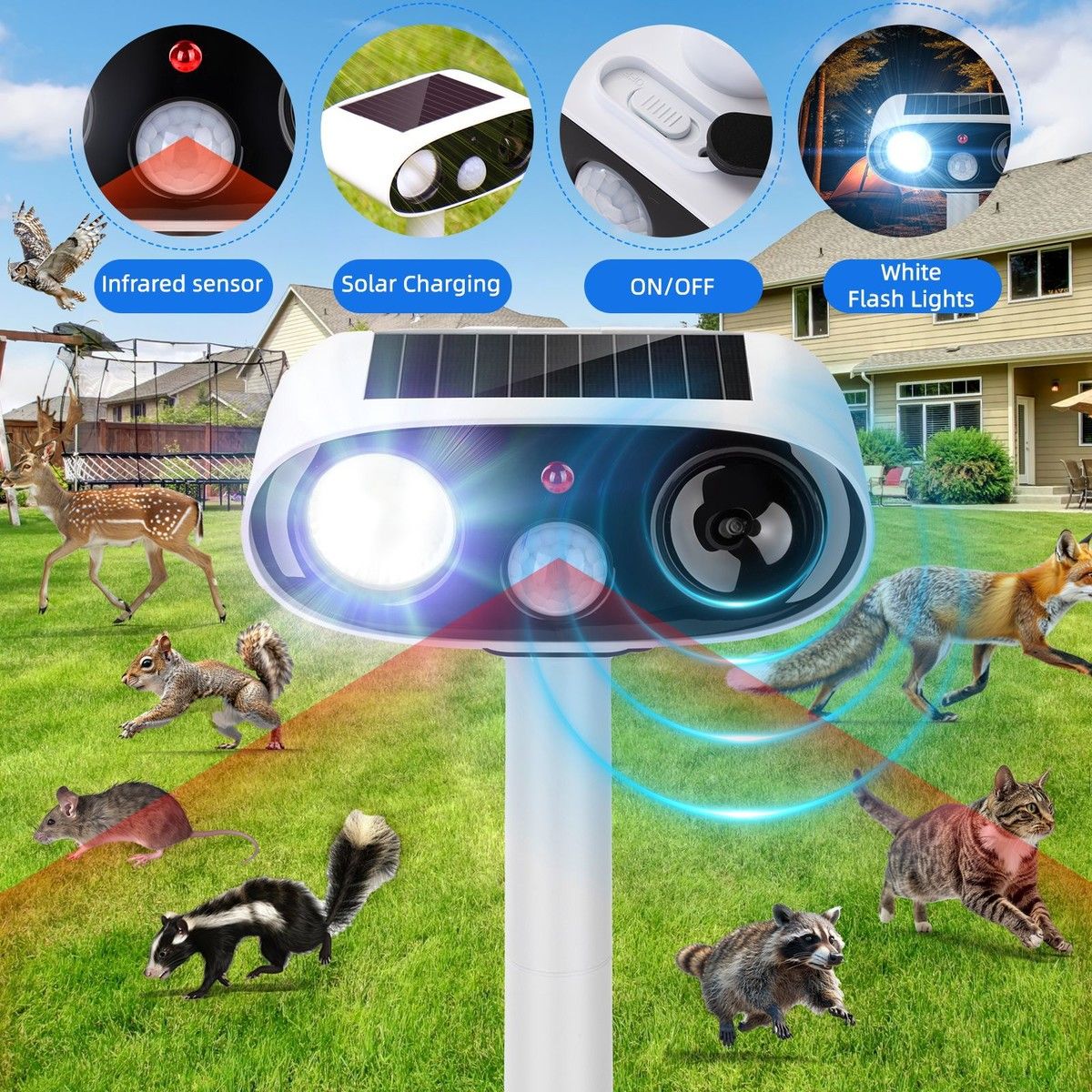 https://img.bestdeals.co.nz/products_pictures/878/87876_852025_F.jpg