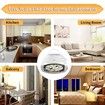 Flea Traps for Inside Your Home with Light,Flea Light Trap for Bug USB Charing Insect Pest Control Traps for Kitchen,Living Room,Balcony and Bedroom