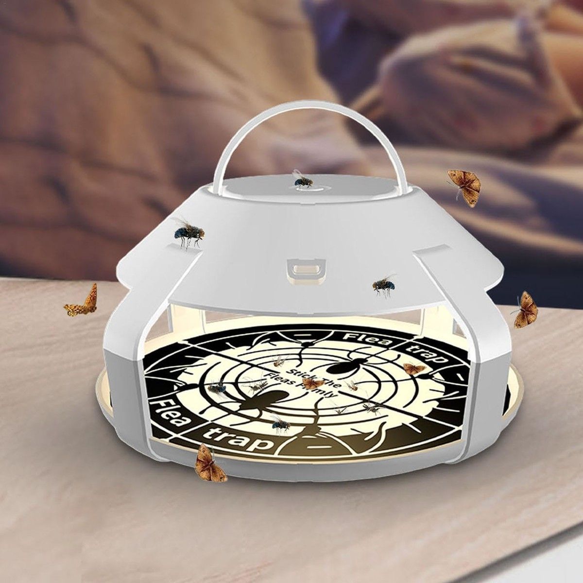https://img.bestdeals.co.nz/products_pictures/879/87938_852713_F.jpg