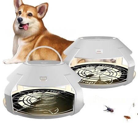 https://img.bestdeals.co.nz/products_pictures/879/87938_852720_F.jpg