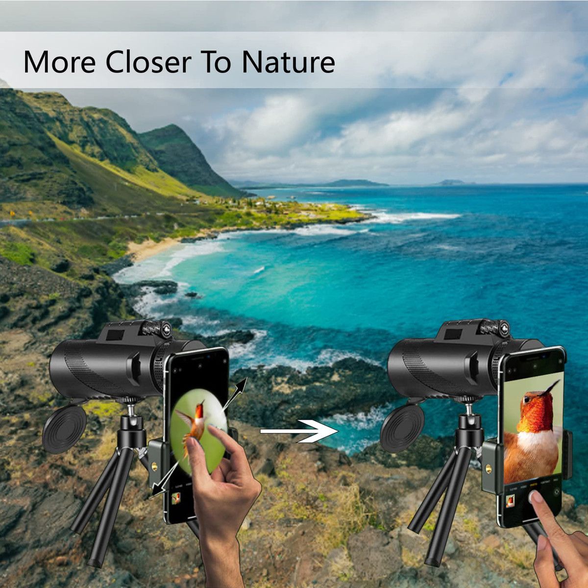 https://img.bestdeals.co.nz/products_pictures/880/88000_853451_F.jpg