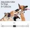 Bark Collar, Rechargeable Smart Barking Collar, Anti Bark Training Collar with Beep Vibration Shock Bark Shock Collar for Small Large Medium Dogs