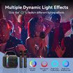 Karaoke Machine 2 Wireless Mics Portable Bluetooth Speaker 50W Handle RGB Lights