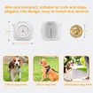 4G GPS Electric Fence Pet Tracker Collar Dogs Cats Real Time Monitoring NANO SIM 4G 5G Signal Disease Prediction Motion Data Historical Tracking Doodle App