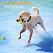 4G GPS Electric Fence Pet Tracker Collar Dogs Cats Real Time Monitoring NANO SIM 4G 5G Signal Disease Prediction Motion Data Historical Tracking Doodle App