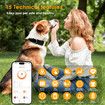 4G GPS Electric Fence Pet Tracker Collar Dogs Cats Real Time Monitoring NANO SIM 4G 5G Signal Disease Prediction Motion Data Historical Tracking Doodle App