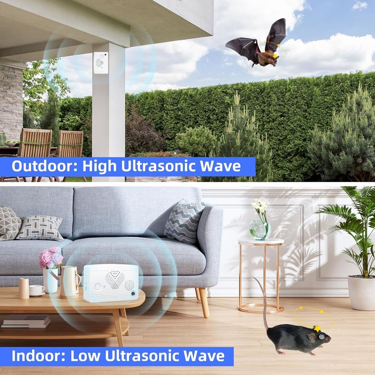 https://img.bestdeals.co.nz/products_pictures/880/88097_854413_F.jpg