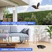 Bird Deterrent Devices, Ultrasonic Bat Repellent for Attic, Rechargeable Bird Repellent for Indoor and Outdoor, Friendly to Human and Pet