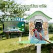 Bird Feeder with Camera,AI Identify Birds Species,Solar Powered,Auto Record Videos in Backyard,Instant Notifications,Ideal Gift for Family and Bird Lovers
