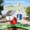 Bird Feeder with Camera, AI Birds Identification, Solar Powered, Live View, Instant Alerts, Capture Bird Videos, 2K HD Camera
