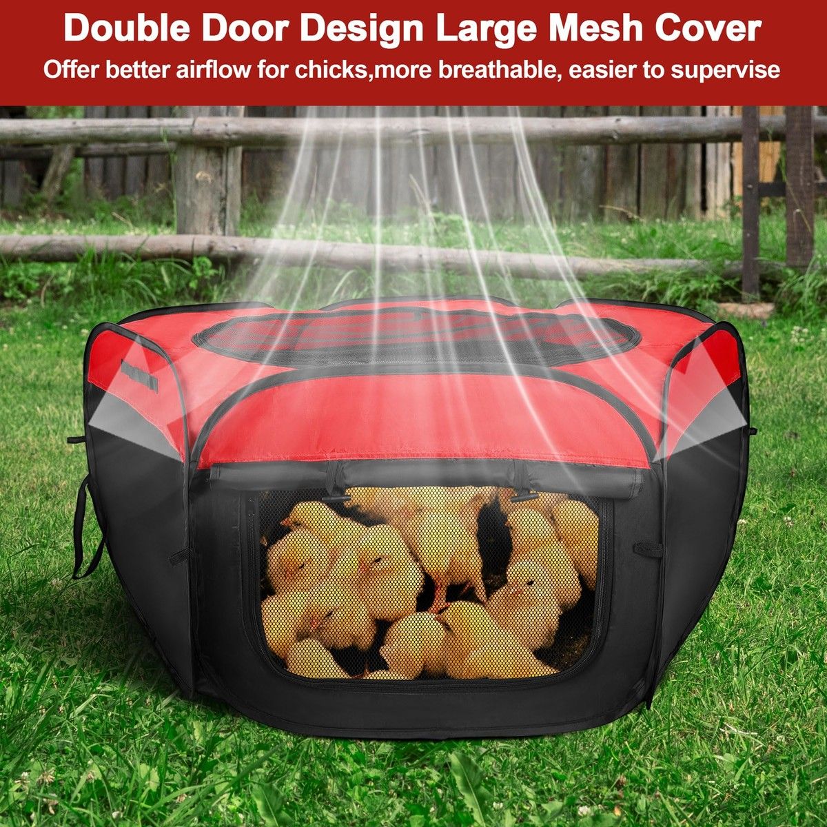 https://img.bestdeals.co.nz/products_pictures/882/88210_855729_F.jpg