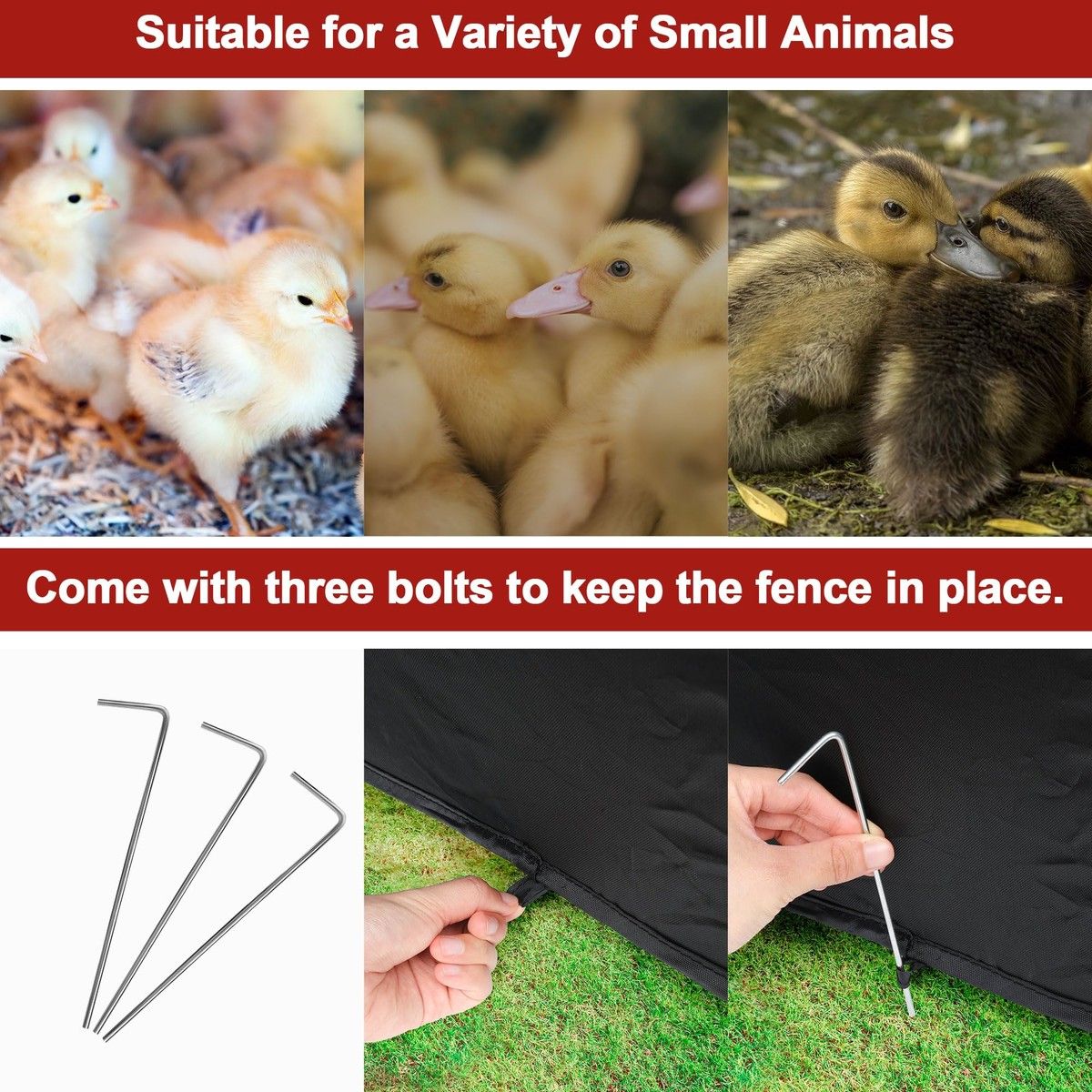 https://img.bestdeals.co.nz/products_pictures/882/88210_855732_F.jpg