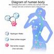 1500ml MAX Hydrogen Water Bottle, Hydrogen Water Generator with SPE/PEM Technology Pink