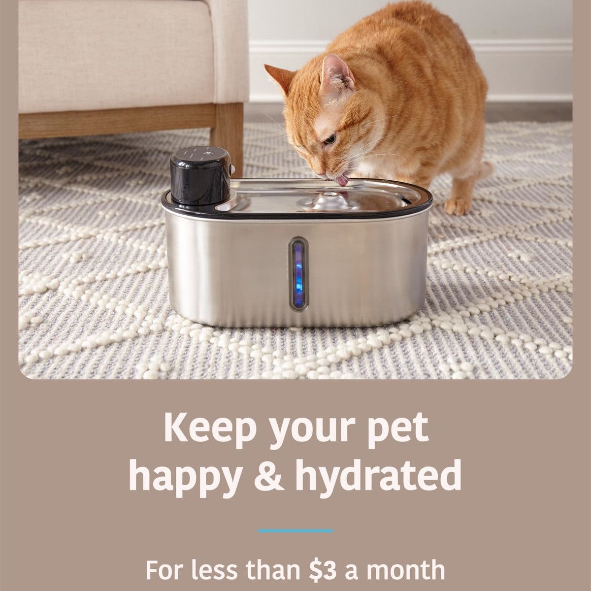 https://img.bestdeals.co.nz/products_pictures/883/88305_856760_F.jpg