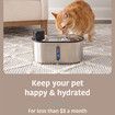 5 Pack Replacement Filters Set for 3L Wireless Cat Fountain