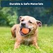 Shaky Ball Toy,Shaking Dog Ball,Interactive Dog Ball,Vibrating Ball,Automatic Moving Dog Toy Ball for Small Medium Large Dogs,USB Rechargeable,Green