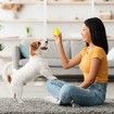 Shaky Ball Toy,Shaking Dog Ball,Interactive Dog Ball,Vibrating Ball,Automatic Moving Dog Toy Ball for Small Medium Large Dogs,USB Rechargeable,Green